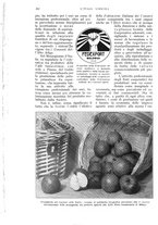 giornale/UM10003065/1932/unico/00000216