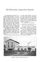 giornale/UM10003065/1932/unico/00000257