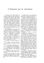 giornale/UM10003065/1932/unico/00000265