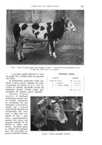 giornale/UM10003065/1932/unico/00000279