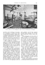giornale/UM10003065/1932/unico/00000283
