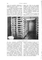 giornale/UM10003065/1932/unico/00000286