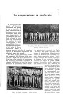giornale/UM10003065/1932/unico/00000297