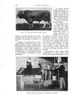 giornale/UM10003065/1932/unico/00000300