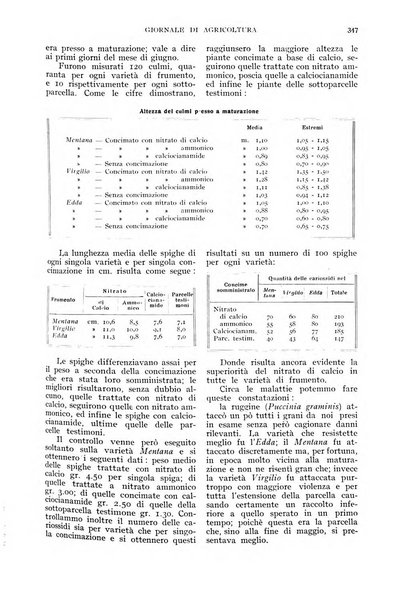 L'Italia agricola