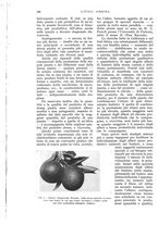 giornale/UM10003065/1932/unico/00000372
