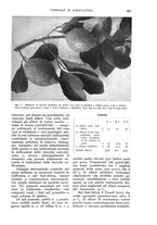 giornale/UM10003065/1932/unico/00000373