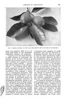giornale/UM10003065/1932/unico/00000381
