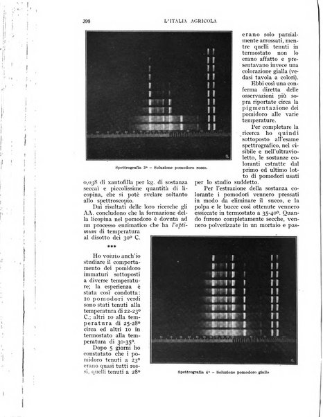 L'Italia agricola