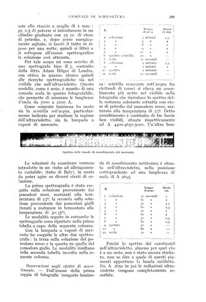 L'Italia agricola