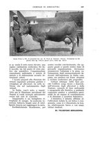 giornale/UM10003065/1932/unico/00000473