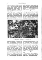 giornale/UM10003065/1932/unico/00000550