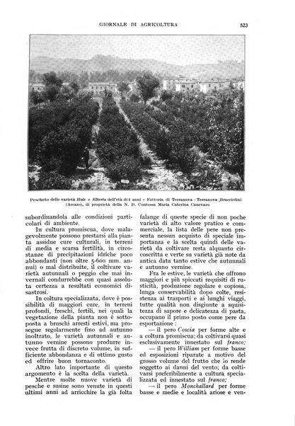 L'Italia agricola