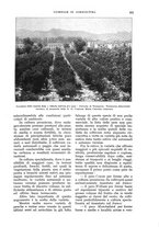 giornale/UM10003065/1932/unico/00000553