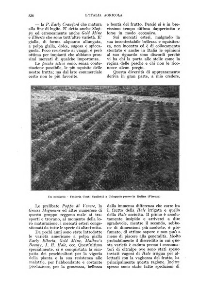 L'Italia agricola