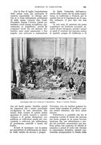 giornale/UM10003065/1932/unico/00000559