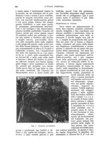 giornale/UM10003065/1932/unico/00000564