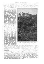 giornale/UM10003065/1932/unico/00000565