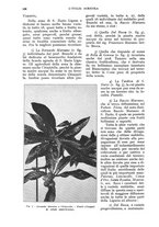 giornale/UM10003065/1932/unico/00000566