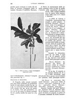 giornale/UM10003065/1932/unico/00000568