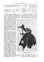 giornale/UM10003065/1932/unico/00000569