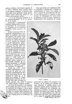 giornale/UM10003065/1932/unico/00000571