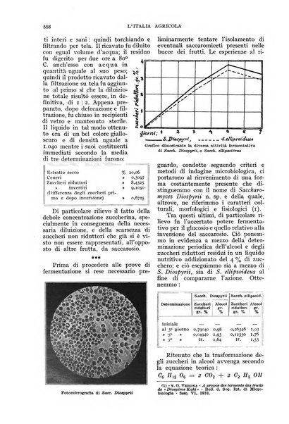 L'Italia agricola