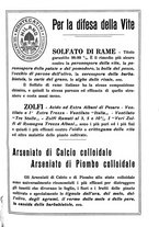giornale/UM10003065/1932/unico/00000611