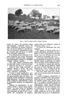 giornale/UM10003065/1932/unico/00000707