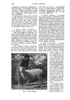 giornale/UM10003065/1932/unico/00000710