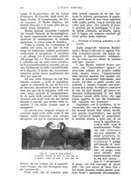 giornale/UM10003065/1932/unico/00000716