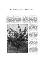 giornale/UM10003065/1932/unico/00000746