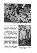 giornale/UM10003065/1932/unico/00000747