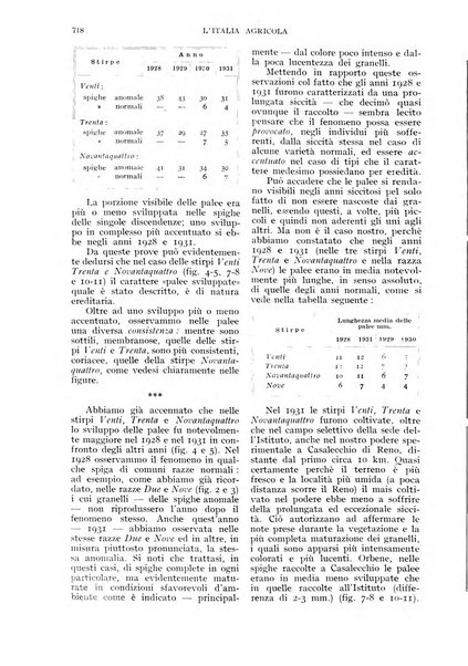 L'Italia agricola