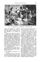 giornale/UM10003065/1932/unico/00000771