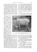 giornale/UM10003065/1932/unico/00000773