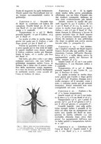 giornale/UM10003065/1932/unico/00000788