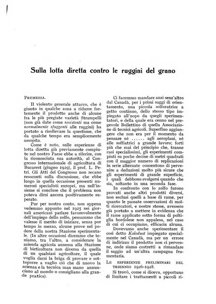 L'Italia agricola