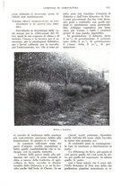 giornale/UM10003065/1932/unico/00000975