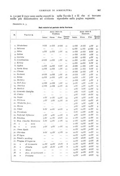 L'Italia agricola