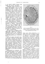 giornale/UM10003065/1933/unico/00000021