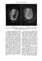 giornale/UM10003065/1933/unico/00000025