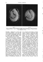 giornale/UM10003065/1933/unico/00000026