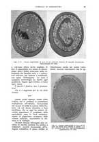 giornale/UM10003065/1933/unico/00000029