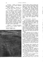 giornale/UM10003065/1933/unico/00000036