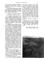 giornale/UM10003065/1933/unico/00000037