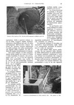 giornale/UM10003065/1933/unico/00000055