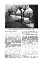 giornale/UM10003065/1933/unico/00000063