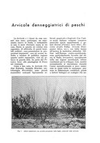 giornale/UM10003065/1933/unico/00000087