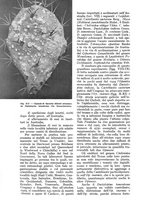 giornale/UM10003065/1933/unico/00000124